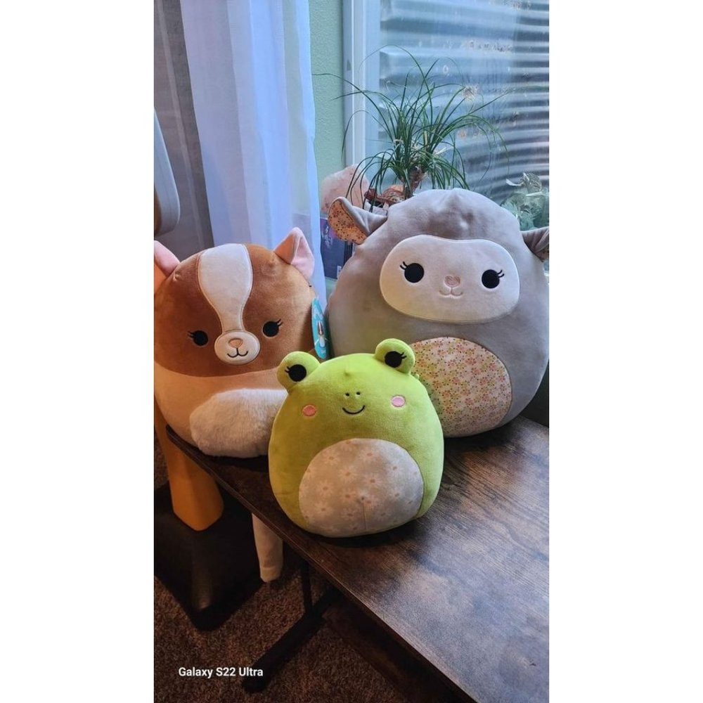 Squishmallow Lot (2 are NWT)